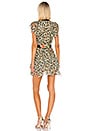 view 3 of 4 Flirty Leopard Dress in Van Gogh Leopard
