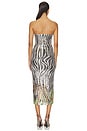 view 3 of 4 Hidden Tiger Tube Dress in Hidden Tiger