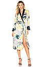 view 1 of 5 Desmond Robe Dress in Hawaii