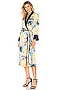view 3 of 5 Desmond Robe Dress in Hawaii