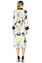 view 4 of 5 Desmond Robe Dress in Hawaii