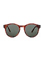 view 1 of 3 Hey Macarena in Vintage Tortoise & Khaki Mono