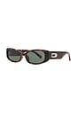 view 2 of 3 Starlight Sunglasses in Tortoise