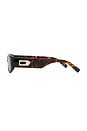 view 3 of 3 Starlight Sunglasses in Tortoise