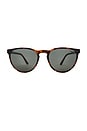 view 1 of 3 LUNETTES DE SOLEIL INVINCIBLE in Tort & Khaki Mono