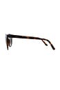 view 3 of 3 LUNETTES DE SOLEIL INVINCIBLE in Tort & Khaki Mono