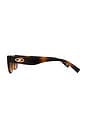 view 3 of 3 Dream Lover Sunglasses in Dark Tort & Brown Grad