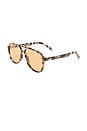 view 2 of 3 Tragic Magic Sunglases in Cookie Tort & Mustard Mono