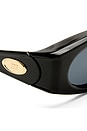 view 3 of 3 LUNETTES DE SOLEIL GLACIEM in Black & Smoke Mono