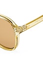 view 3 of 3 LUNETTES DE SOLEIL TRAGIC MAGIC in Sage & Tan Tint