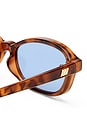 view 3 of 3 LUNETTES DE SOLEIL HONEY POT in Amber Tort & Dusty Blue Tint