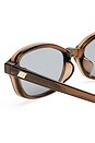 view 4 of 5 Honey Pot Sunglasses in Cocoa