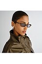 view 5 of 5 Honey Pot Sunglasses in Cocoa