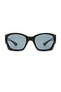 view 1 of 5 Salacious Sunglasses in Black