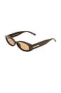 view 2 of 5 Belladonna Sunglasses in Cocoa