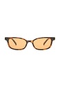 view 1 of 3 Confidential Sunglasses in Dark Tort & Amber Tint