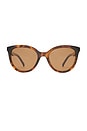 view 1 of 3 The Muse Sunglasses in Tort & Brown Mono Polarized