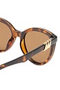 view 3 of 3 The Muse Sunglasses in Tort & Brown Mono Polarized