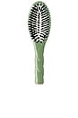 view 1 of 11 Small Brush N02 in Sage Green