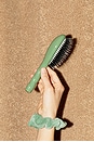 view 10 of 11 Small Brush N02 in Sage Green