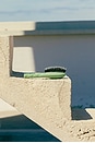 view 9 of 11 Small Brush N02 in Sage Green