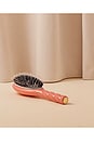 view 9 of 9 Large Brush N02 in Orange Coral