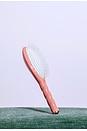 view 11 of 11 BROSSE À CHEVEUX LARGE BRUSH N04 in Orange Coral
