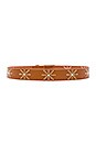 view 2 of 3 Alani Belt in Cognac