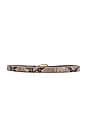 view 2 of 3 Eastwood Belt in Snake