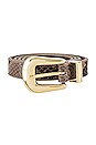 view 3 of 3 Eastwood Belt in Snake