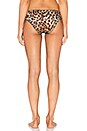 view 3 of 4 Lolita Bikini in Leopard