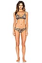 view 4 of 4 Lolita Bikini in Leopard