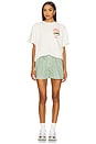 view 4 of 4 The Spicy Tee in Off White