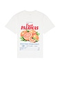 view 5 of 4 The Market Tee in Blanc White