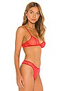 view 2 of 4 Tibi Bralette in Valentine