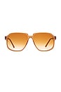 view 1 of 1 LUNETTES DE SOLEIL MARGOT in Cola