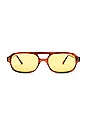 view 1 of 3 GAFAS DE SOL SOFIA in Chestnut