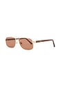 view 2 of 3 Evangaline Sunglasses in Coffee