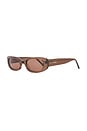 view 2 of 3 Cali Sunglasses in Coffee
