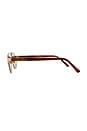 view 3 of 3 Billie Sunglasses in Chestnut