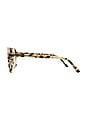 view 3 of 3 Scout Sunglasses in Choc Tort