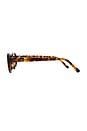view 3 of 3 СОЛНЦЕЗАЩИТНЫЕ ОЧКИ JEANNE in Tortoise