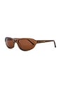 view 2 of 3 Naomi Sunglasses in Coffee