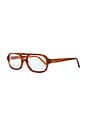 view 2 of 3 GAFAS DE SOL SOFIA in Chestnut