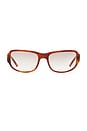 view 1 of 3 GAFAS DE SOL CLEO in Chestnut