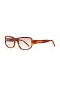 view 2 of 3 GAFAS DE SOL CLEO in Chestnut