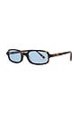 view 2 of 3 LUNETTES DE SOLEIL VERA in Torte
