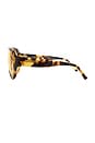 view 4 of 3 Bunny Sunglasses in Honey Tort