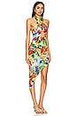 view 2 of 4 Birds Of Paradise Halter Neck Cut Out Midi Dress in Multicolor