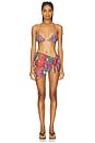 view 4 of 5 Seamless Triangle Top in Multicolor